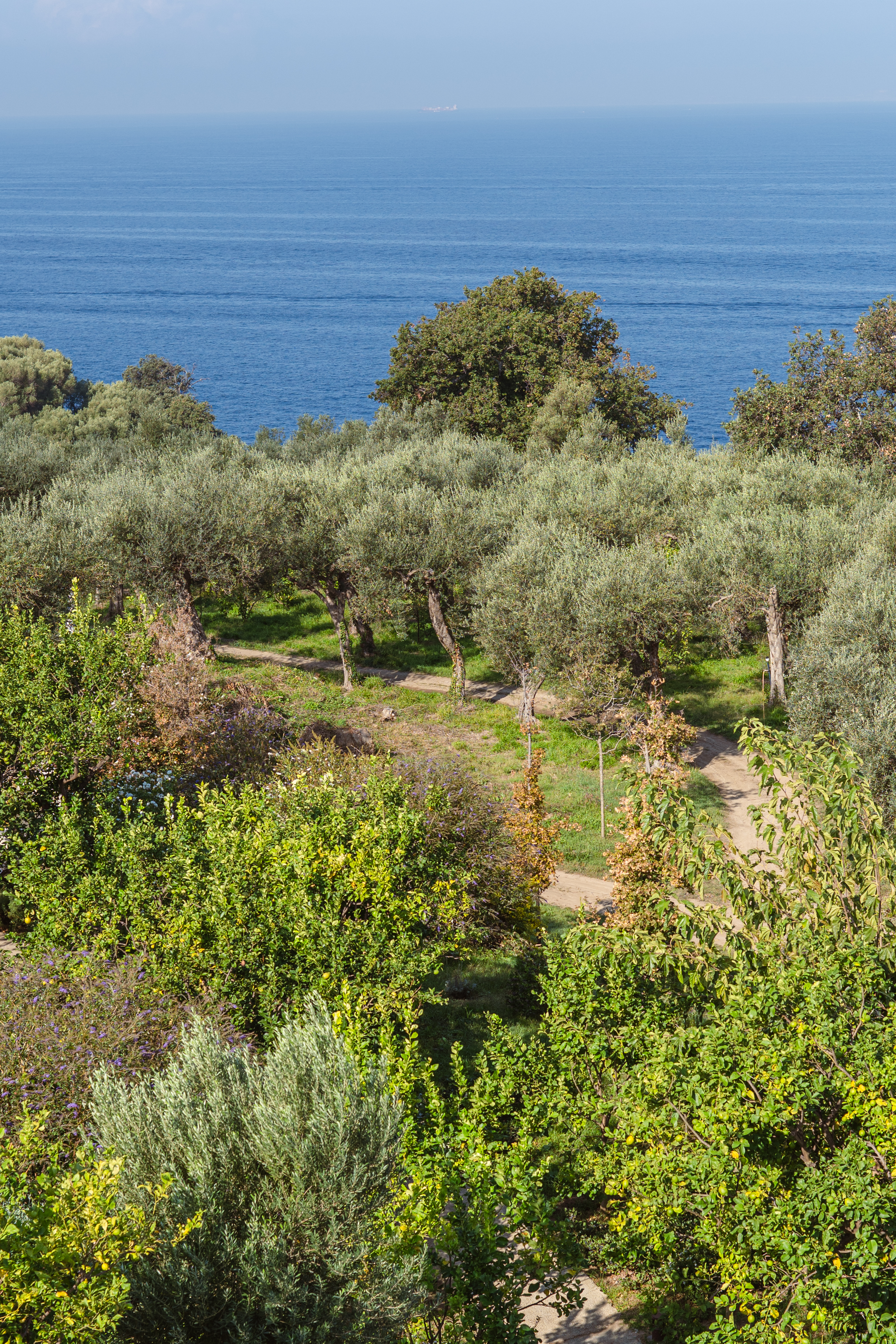 Il verde a perdita d'occhio