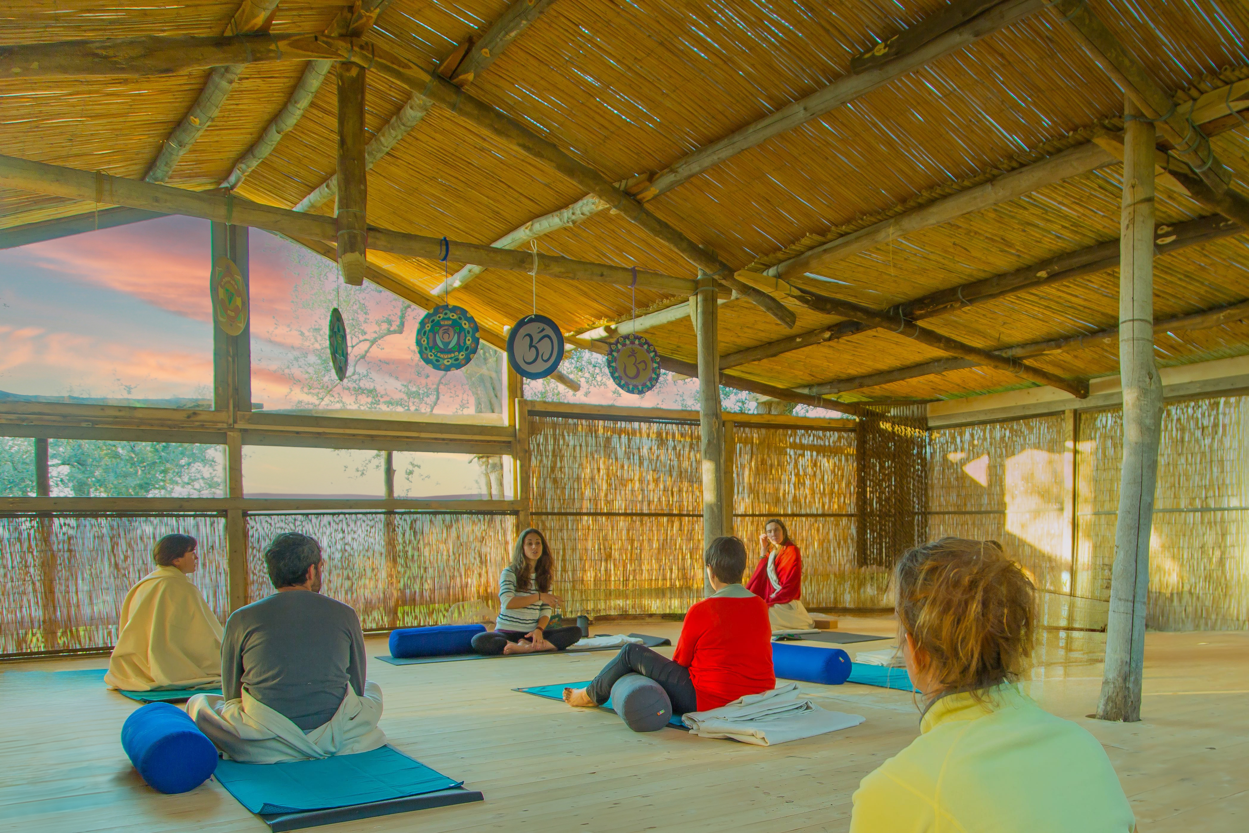 Yoga retreats